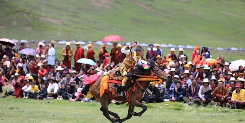 格?；ㄊ㈤_(kāi) 牧民馬背上一顯身手