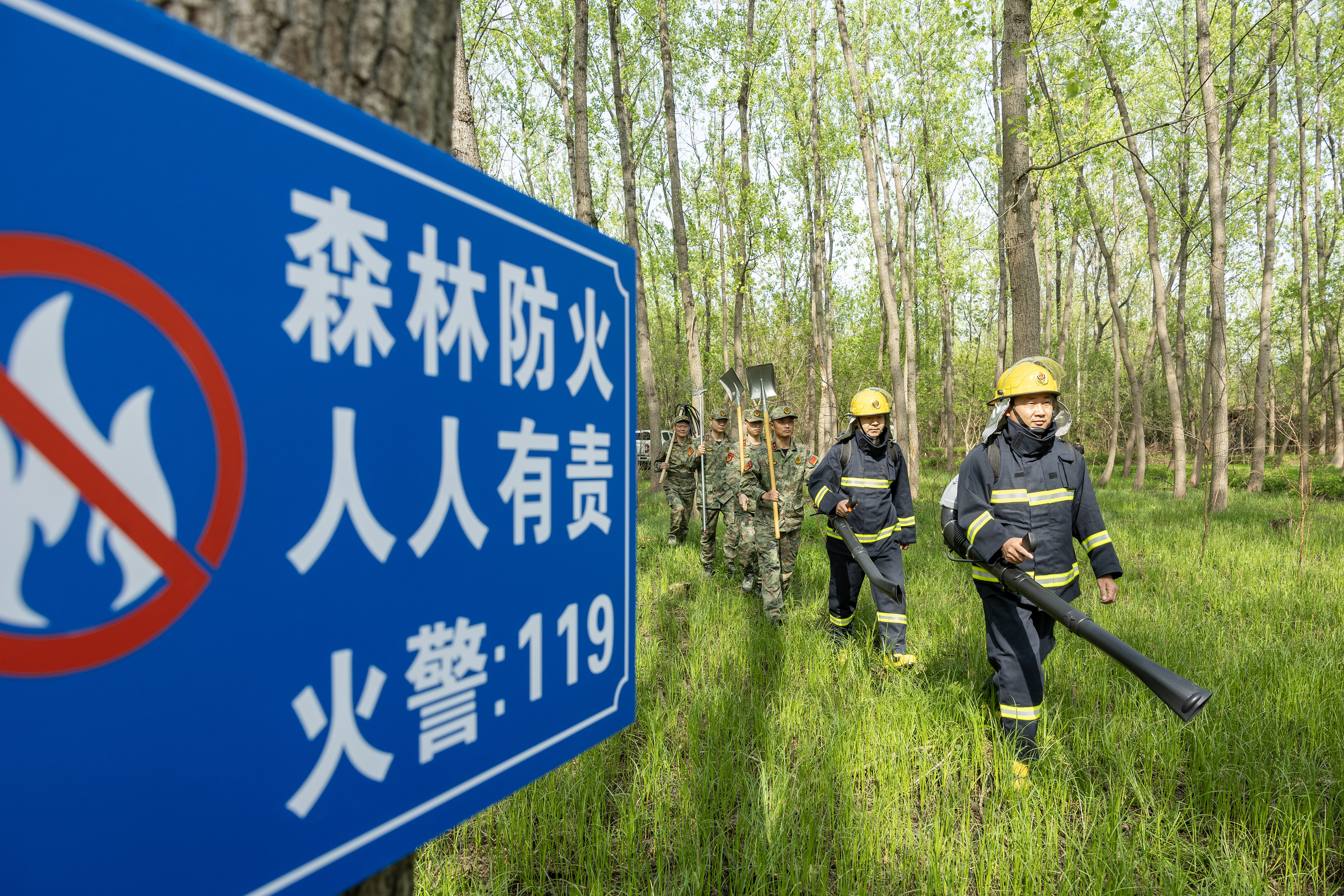 2024年4月9日，合肥市大房郢水庫(kù)水源保護(hù)地廬陽(yáng)經(jīng)濟(jì)開(kāi)發(fā)區(qū)段，基干民兵正在林間巡查火災(zāi)隱患。