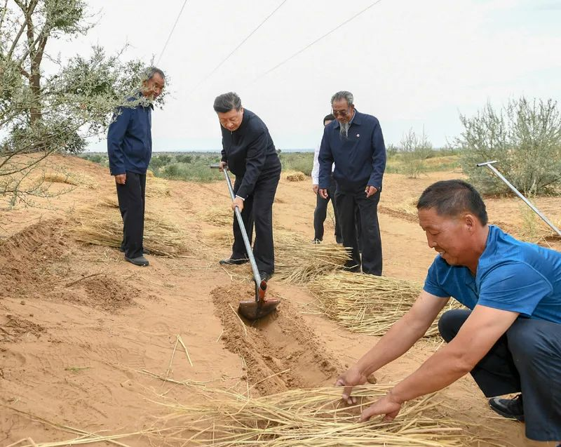 2019年8月21日，習(xí)近平來到甘肅省武威市古浪縣八步沙林場，實地察看當(dāng)?shù)刂紊吃炝?、生態(tài)保護等情況。新華社記者 謝環(huán)馳 攝
