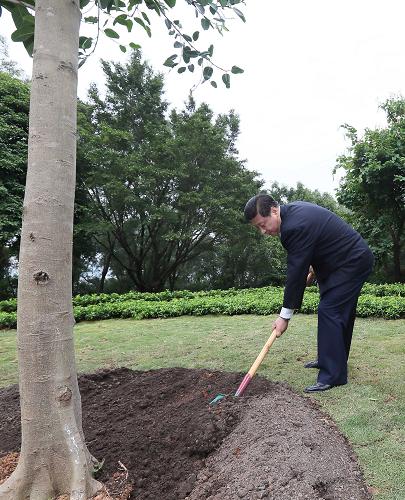 2012年12月7日至11日，習(xí)近平在廣東省考察工作。這是8日上午，習(xí)近平在深圳蓮花山公園種下一棵高山榕樹。新華社記者 蘭紅光 攝