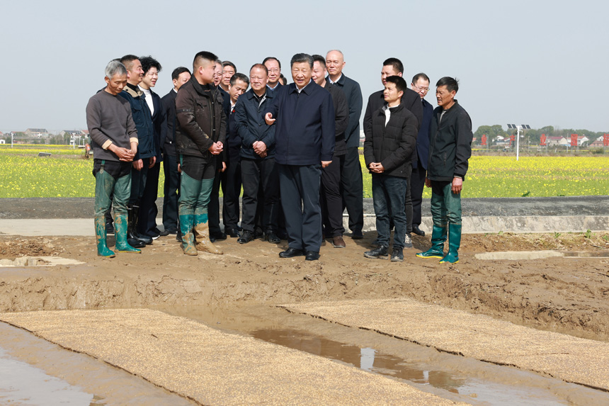 2024年3月18日至21日，中共中央總書記、國家主席、中央軍委主席習(xí)近平在湖南考察。這是19日下午，習(xí)近平在常德市鼎城區(qū)謝家鋪鎮(zhèn)港中坪村走進(jìn)田間，察看秧苗培育和春耕備耕進(jìn)展。新華社記者 王曄 攝